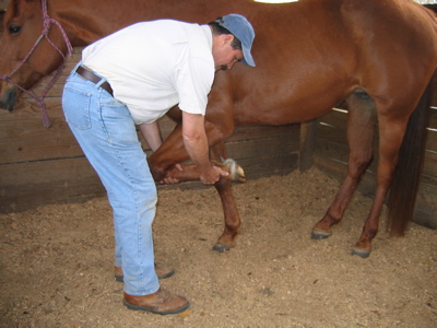 Masterson bending the horse's leg.