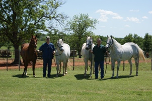 An impressive assembly of mare power pictured from left to right: Jud Little’s Frosty Feelins, Harry Thomases’ TR Dashing Badger, Kelly Yates’s Firewater Fiesta and Matt and Bendi Dunn’s Mulberry Canyon Moon. This photo was taken at Royal Vista Southwest in Purcell, Okla. Photo by Allison Bailey