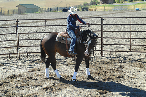 With her inside leg, Anderson bumps by the cinch when she asks the horse to give his head to the shoulder.