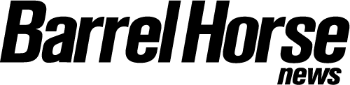 bhn logo black