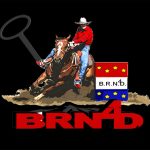 BRN4D logo
