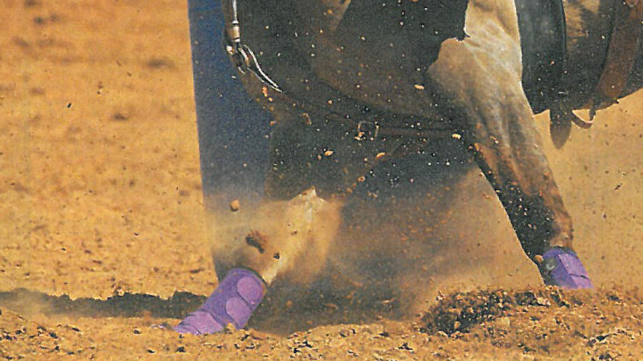 horse turning on arena ground