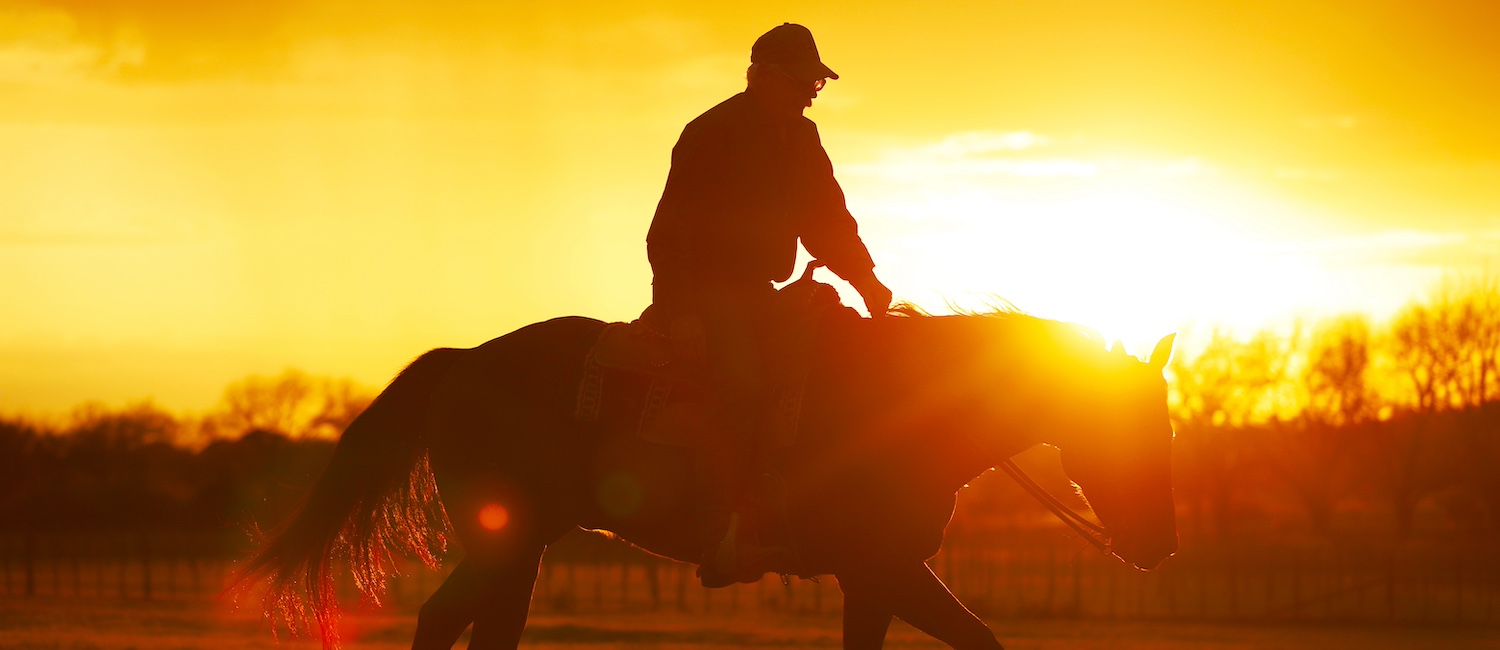 horse at sunrise