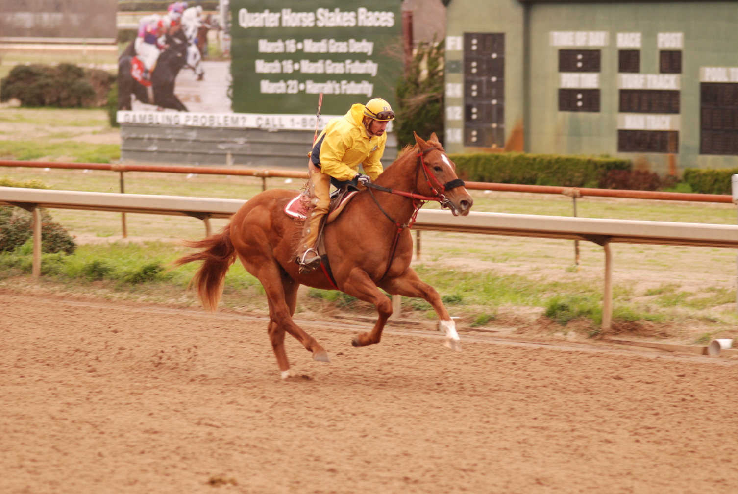 TrackBreeze