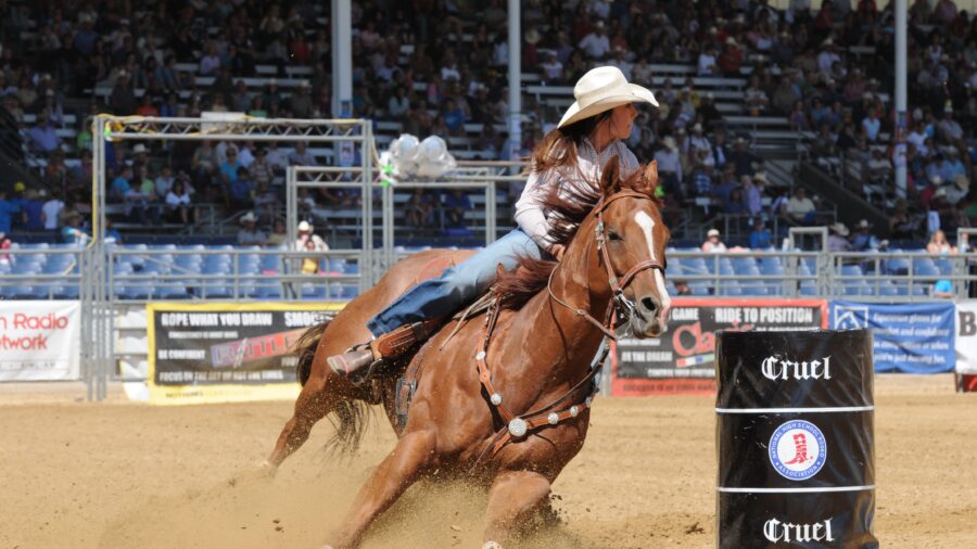 rachel primm2011nhsfr9-38-132