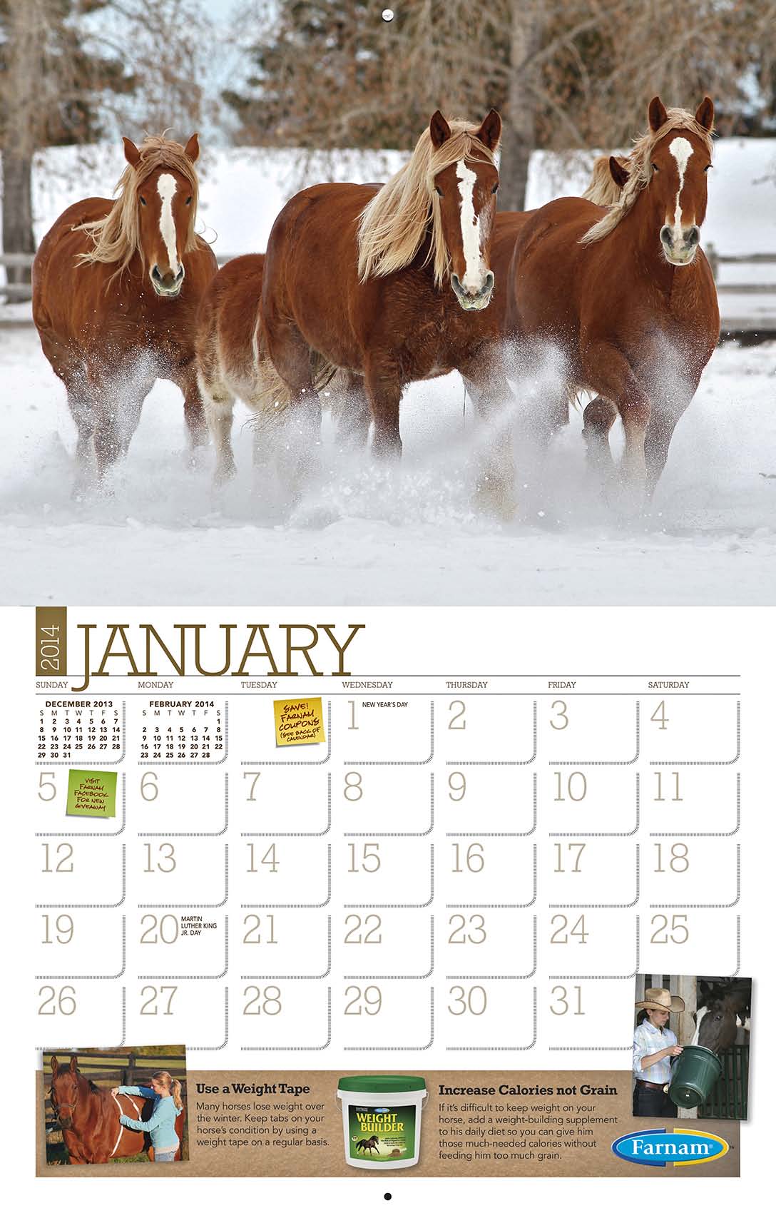 csi_uhc_calendar2014_jan_spread