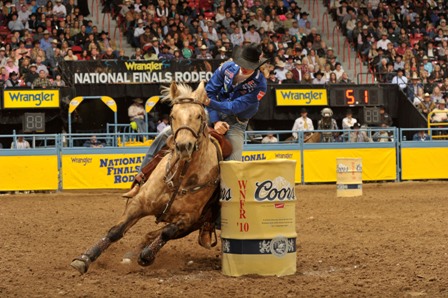 Sherry Cervi's Stingray traces to Tiny Watch via her sire PC Frenchmans Hayday.