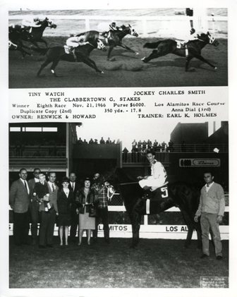 Tiny Watch, by Anchor Watch (TB) and out of the mare Clabber Tiny proved his rightful heritage, collecting 16 wins, 12 seconds, and three thirds for his 38 trips down the track. He earned nearly $107,000 and was elected Champion Running Stallion in 1965 and Co-Champion Quarter Running Stallion and Aged Stallion in 1965. A string of barrel racing winners can trave their heritage to Tiny Watch.