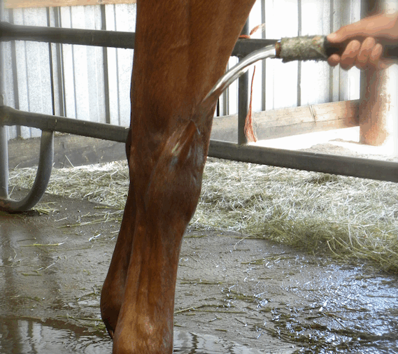 Hydrotherapy 1