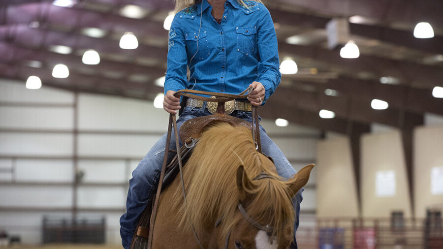 Opening and closing your hands on the reins, particularly the pinky and ring finger, is often all it takes to convey the right signal.