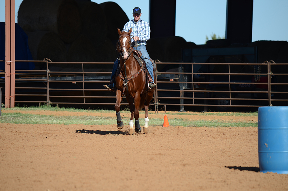 Getting a horse's competitive career off to a good start depends in large part on building consistency and confidence away from home.