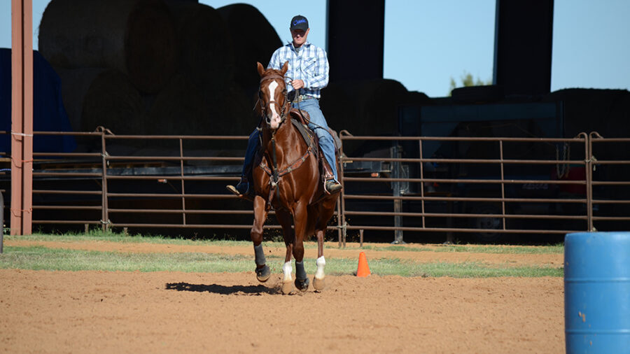 From Round Pen to Rodeo Ready, pt. 2