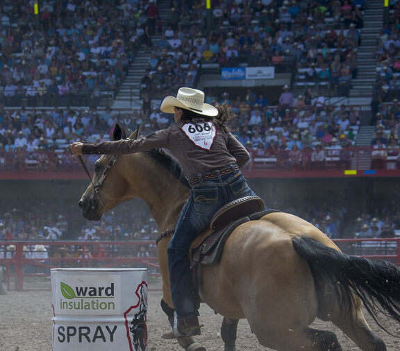 2015 CFD - Lisa Lockhart