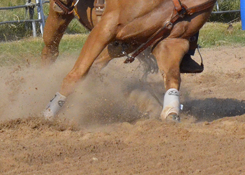 Your horse's legs are invaluable to his barrel racing career. Make sure to take care of them the best you can.