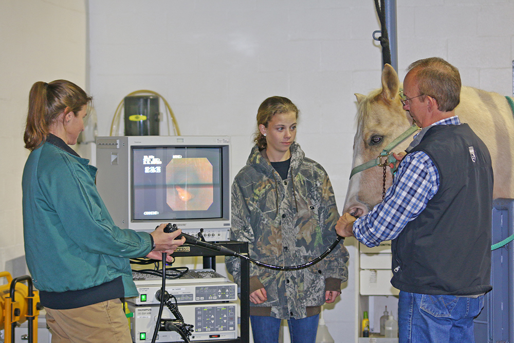 Dr. Fisch takes chest radiographs and an endoscopy of the upper respiratory tract. 
