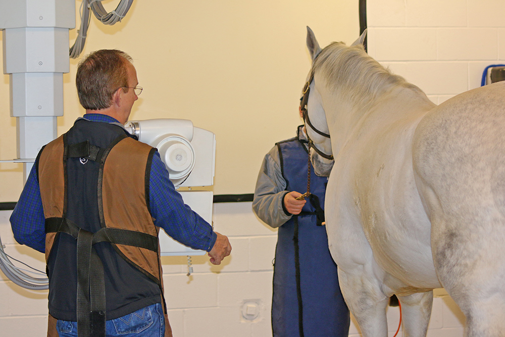 Dr. Fisch says that evaluation of respiratory distress in its early stages is advisable.  