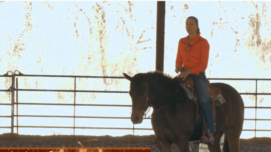 Andrea Cline second barrel