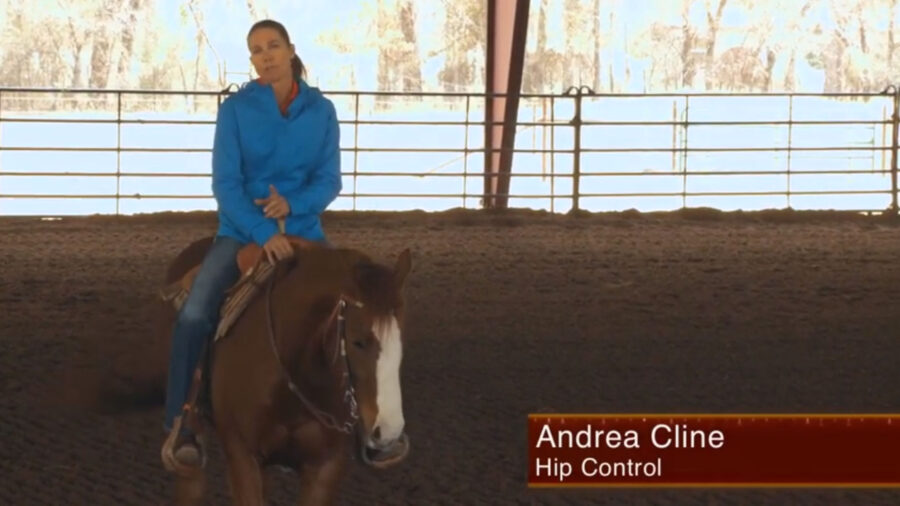 Andrea Cline hip control