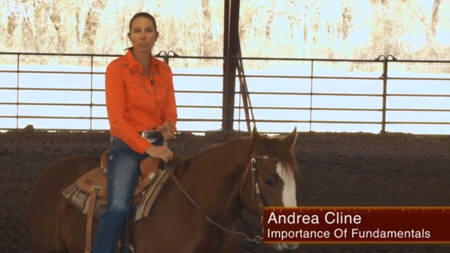 Andrea-Cline-Importance-of-Fundamentals