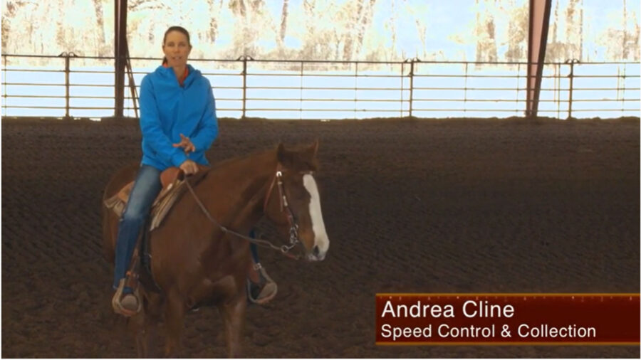 andrea cline speed control and collection