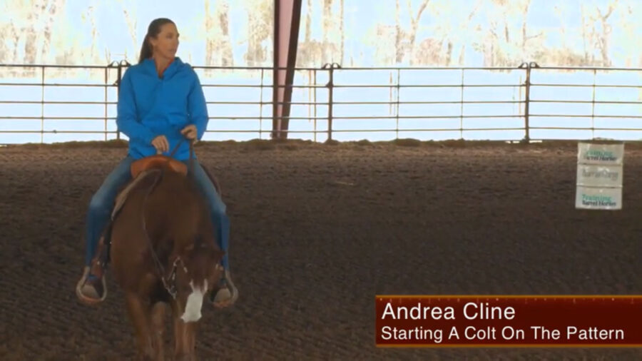 Andrea-Cline-Starting-a-colt-on-the-pattern