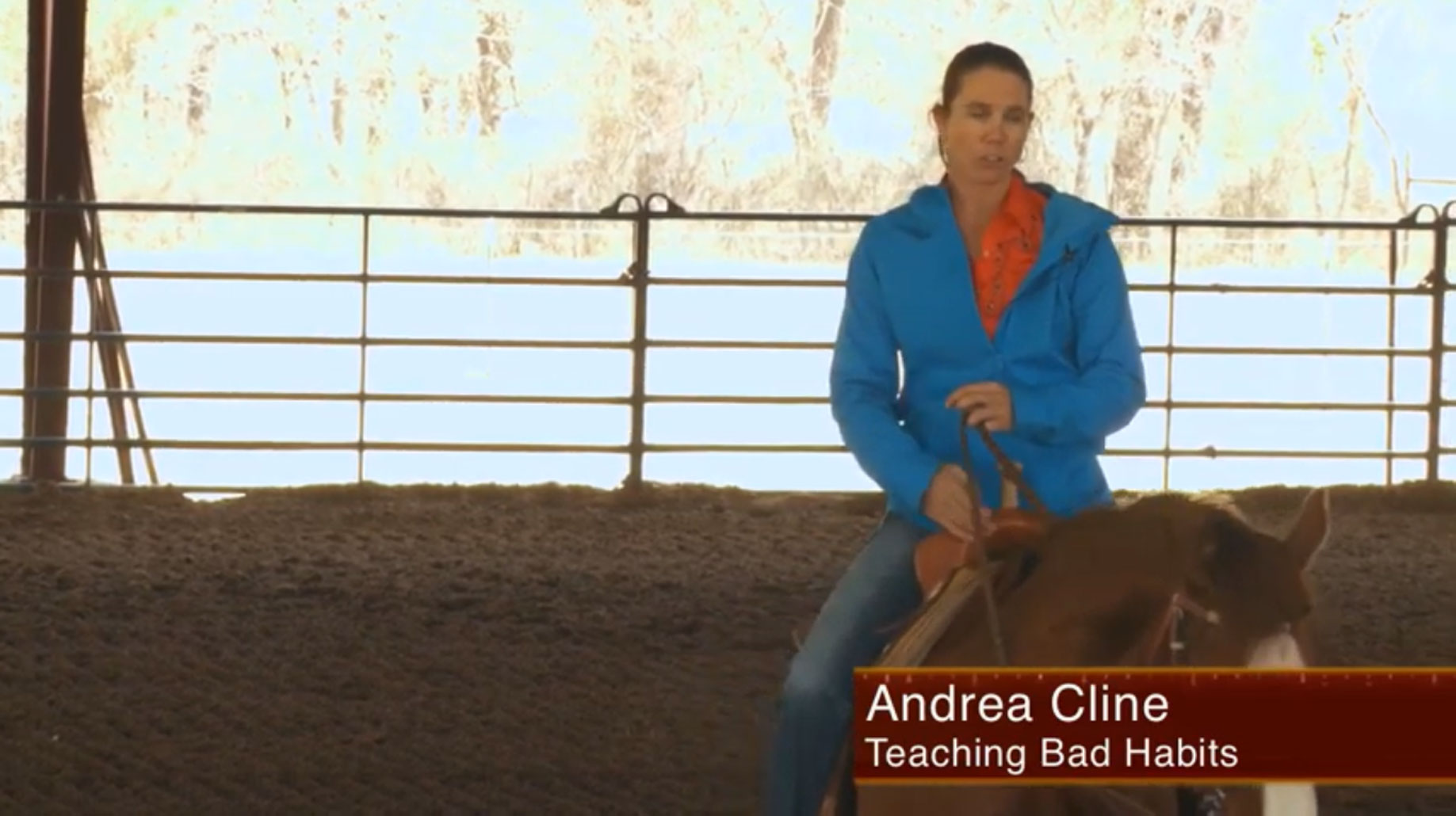 Andrea-Cline-Teaching-Bad-Habits