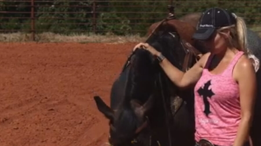 Angie-Meadors-Draw-Reins
