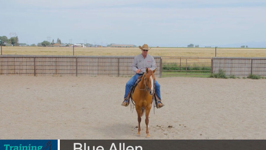 Blue-Allen-Building-a-foundation-part-1