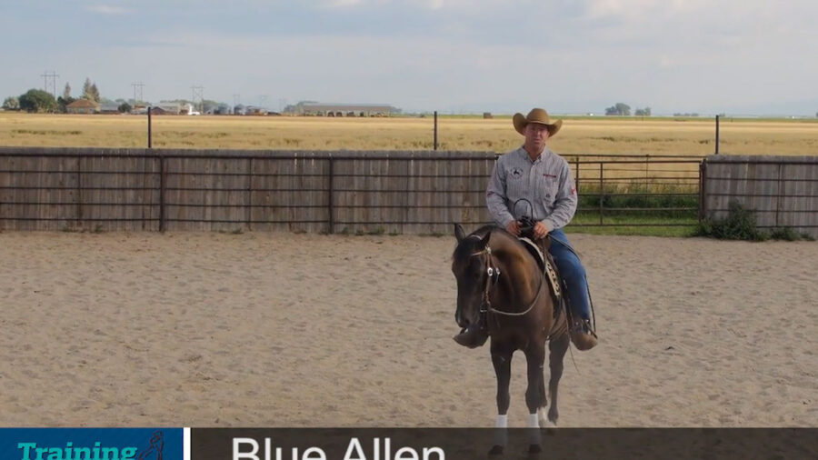 Blue-Allen-Controlling-you-horses-body-parts