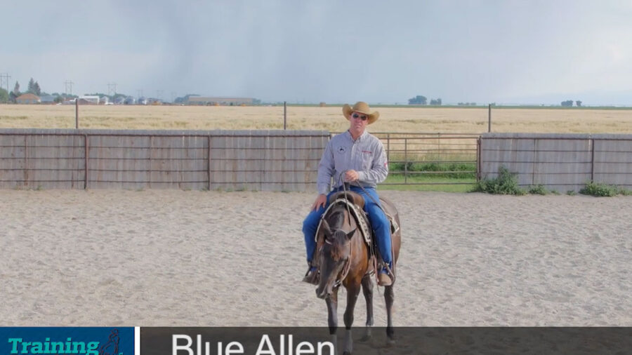 Blue-Allen-Correct-Leads