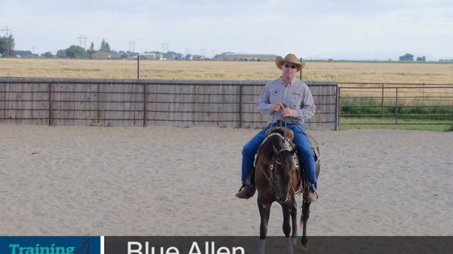 Blue-Allen-Eliminating-the-Brace