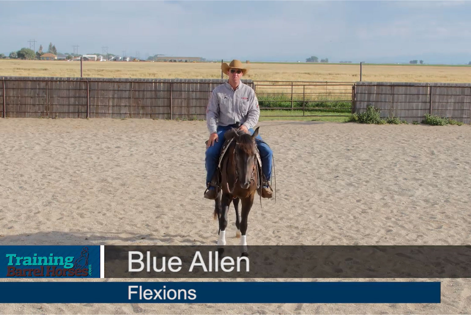 Blue-Allen-Flexions