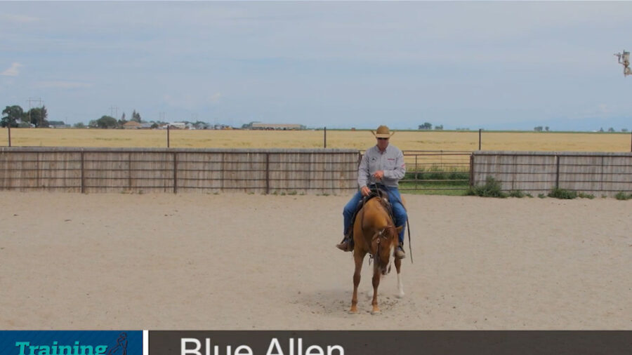 Blue-Allen-Forward-and-Backward