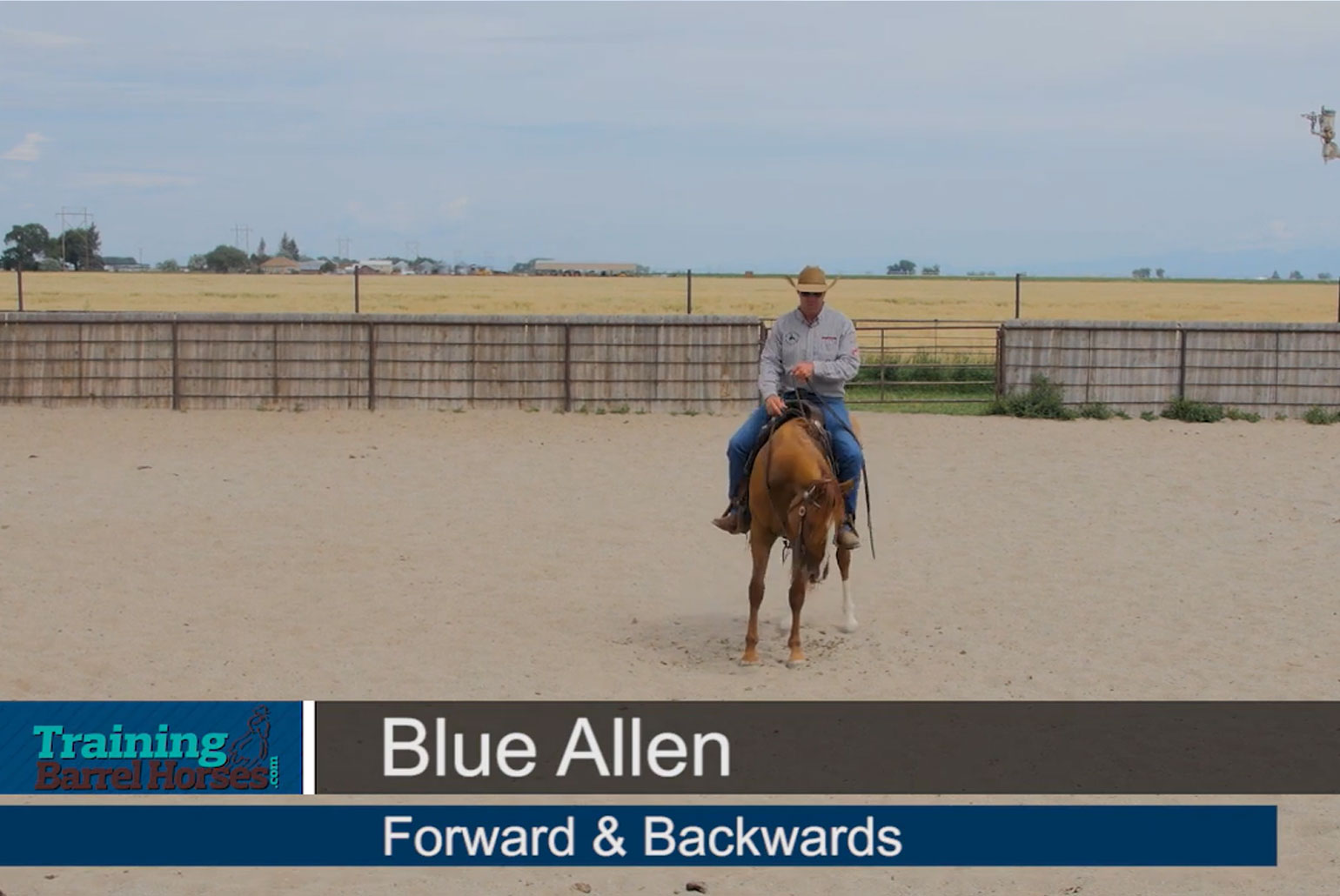 Blue-Allen-Forward-and-Backward