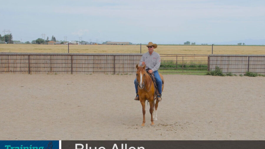 Blue-Allen-Foundation-part-2