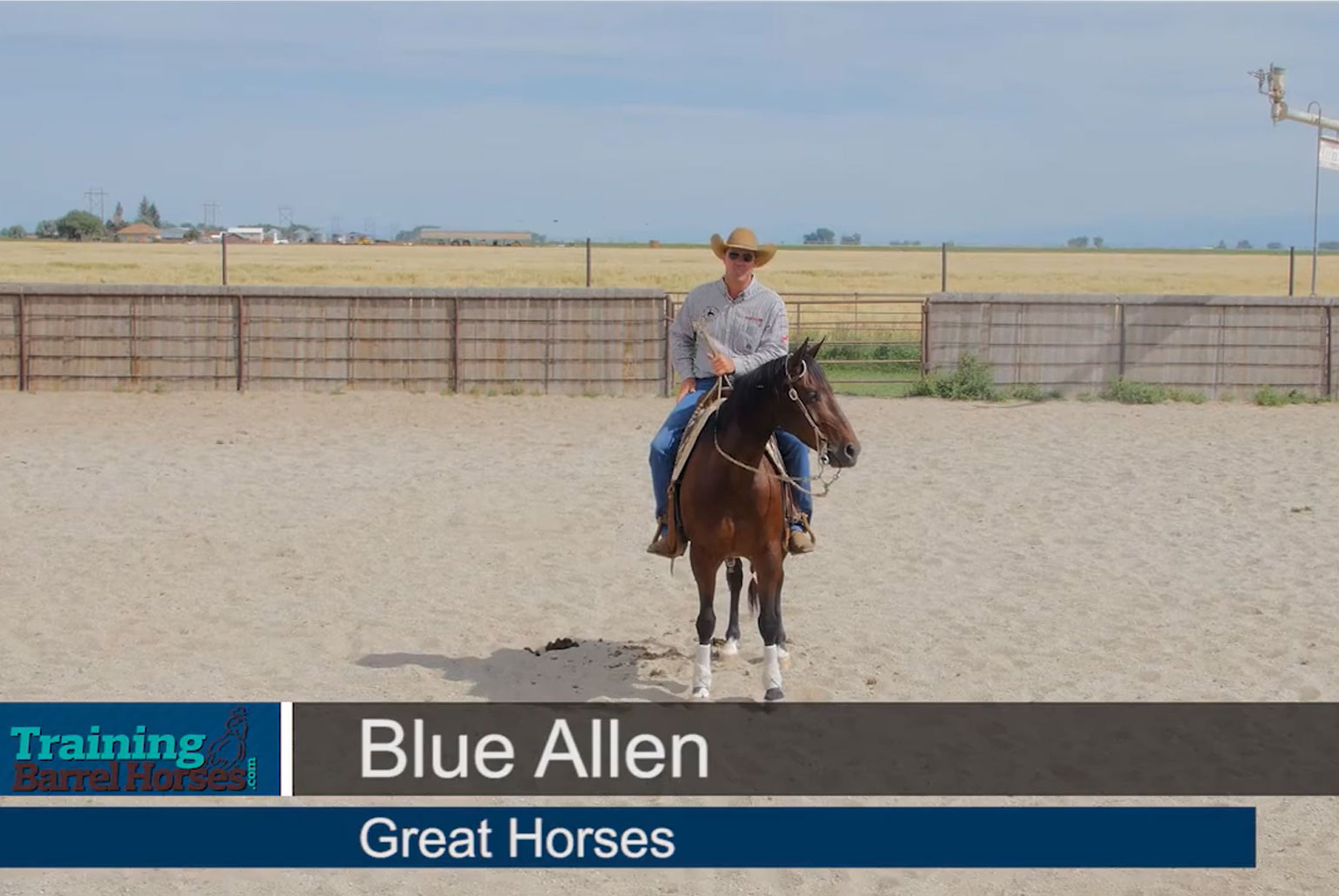 Blue-Allen-Great-Horses
