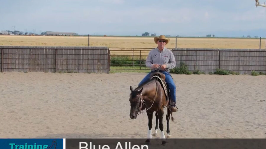 Blue-Allen-Rider-Position
