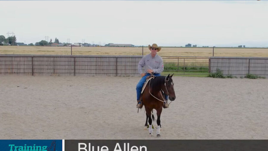 Blue-Allen-Stopping-and-Rating