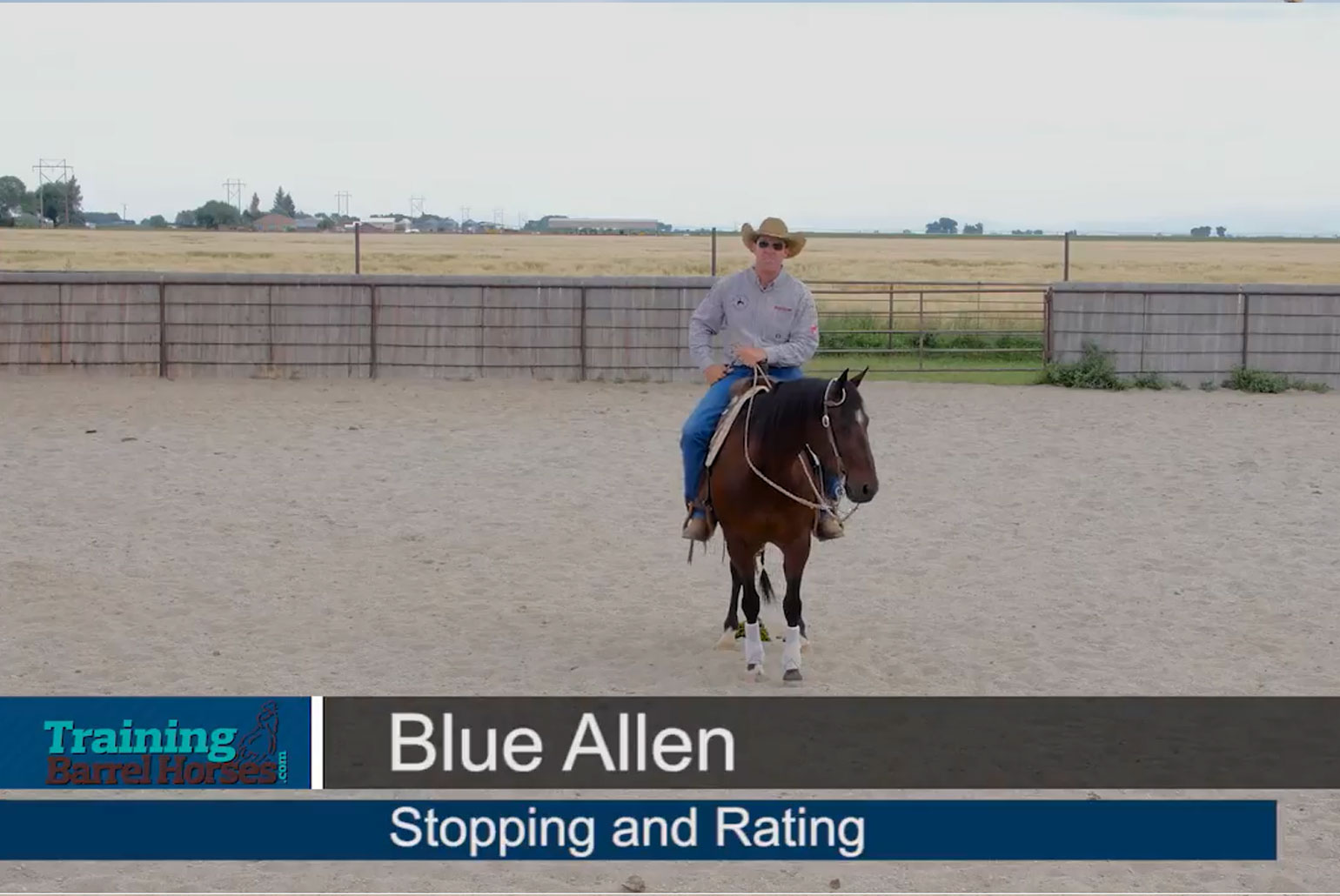 Blue-Allen-Stopping-and-Rating