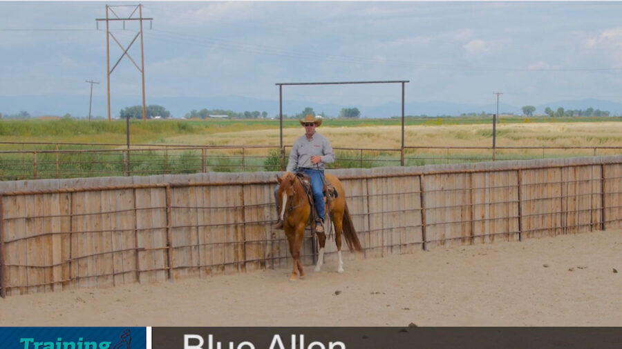 Blue-Allen-Training-Aids
