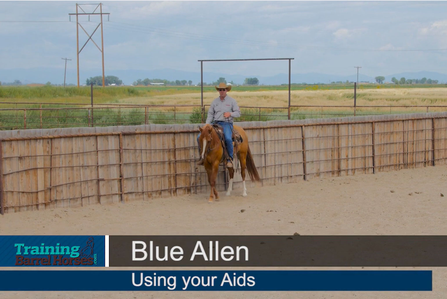 Blue-Allen-Training-Aids