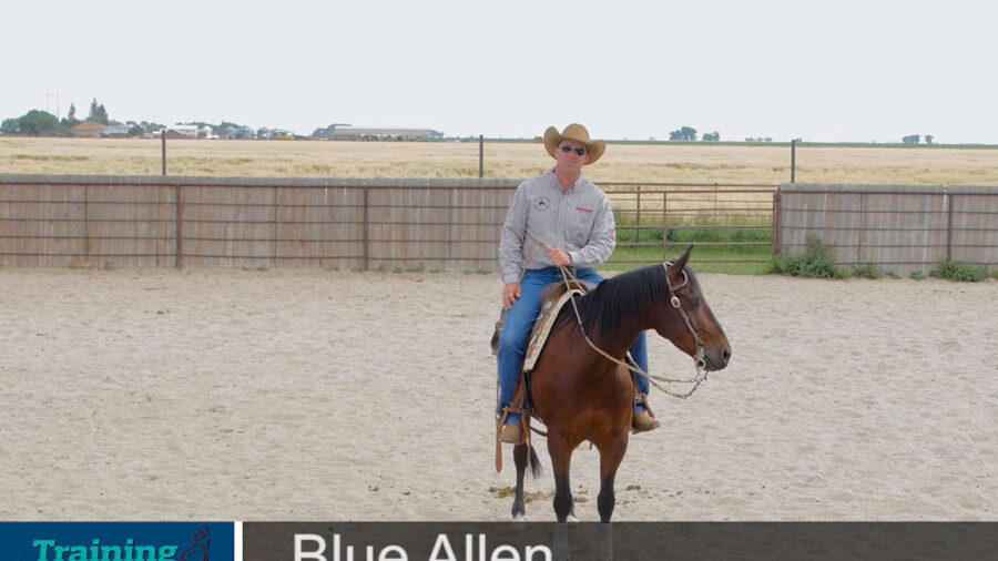 Blue-Allen-Warm-Up-Exercises