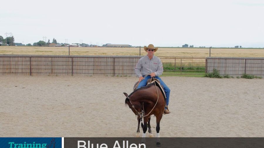 Blue-Allen-transitions