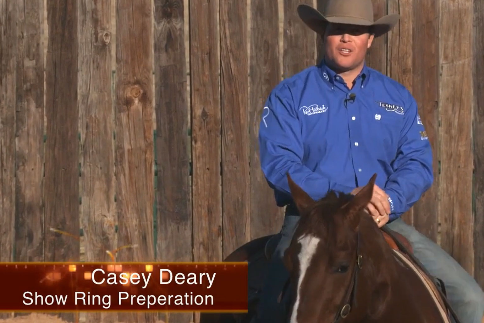 Casey-Deary-Show-Ring-Preparation