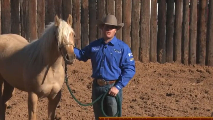 Casey Deary - Starting Colts part 1