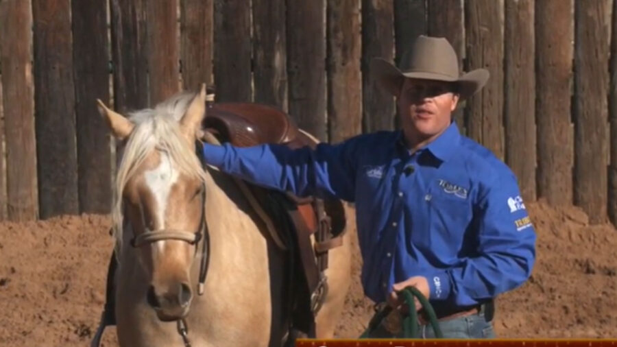 Casey-Deary-starting-colts-part-3
