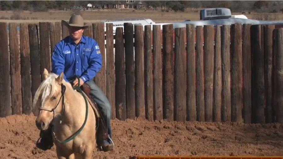 Casey Deary starting colts part 5