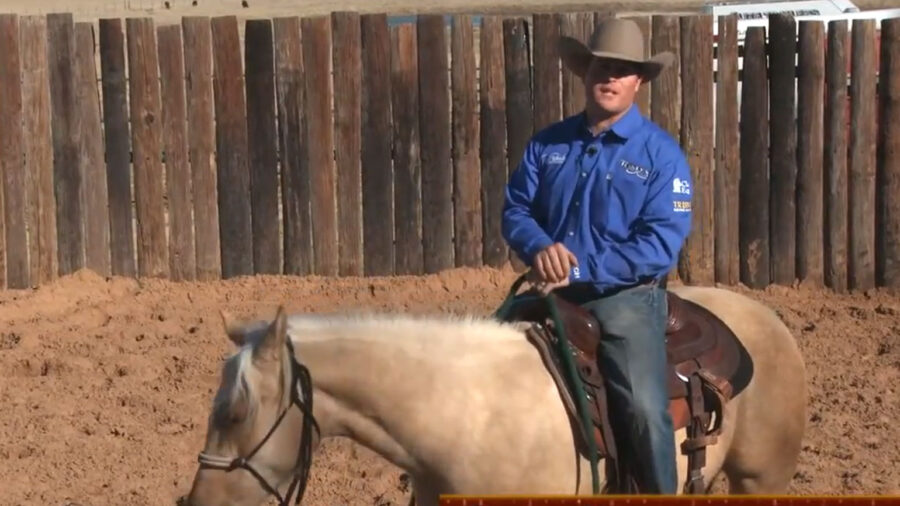 Casey Deary starting colts part 6