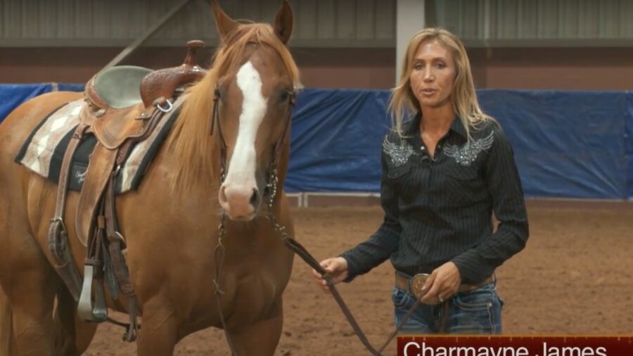 Barrel Horse Prospects