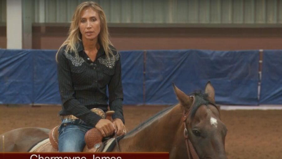 Finding a Trainer for your Horse